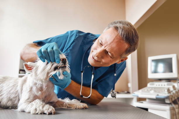 Best Pediatric Emergency Dentist in Carthage, TX